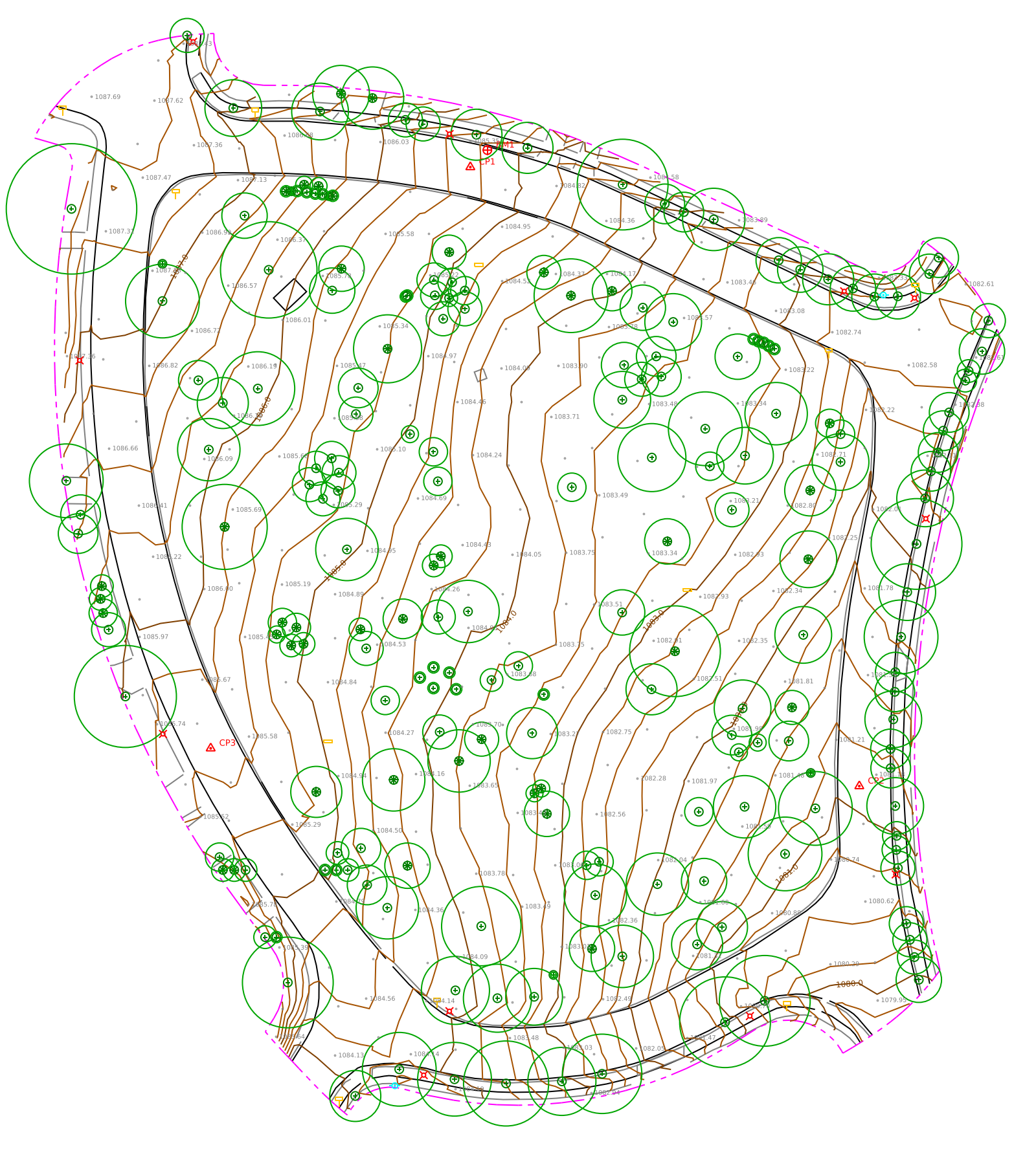 Finished topographic plan linework, contours, trees and labels